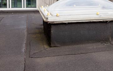 disadvantages of Craigentinny flat roofs