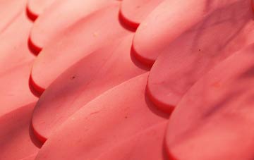 Craigentinny plastic roof costs