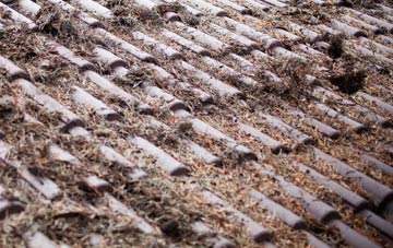 Craigentinny roof cleaning companies