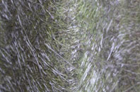 Craigentinny fibreglass roof work